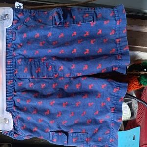 Garanimals Blue and Red Kids Shorts